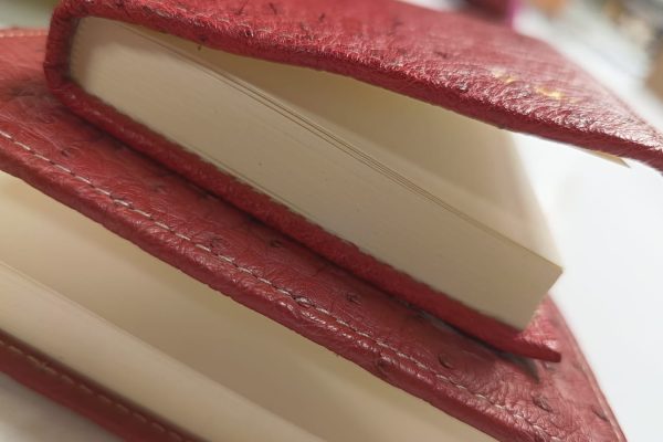 80fa446c-66c4-4147-ae85-392a51382a70